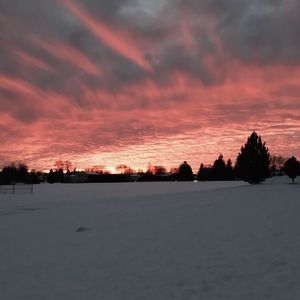 Meet your Posher, Jake